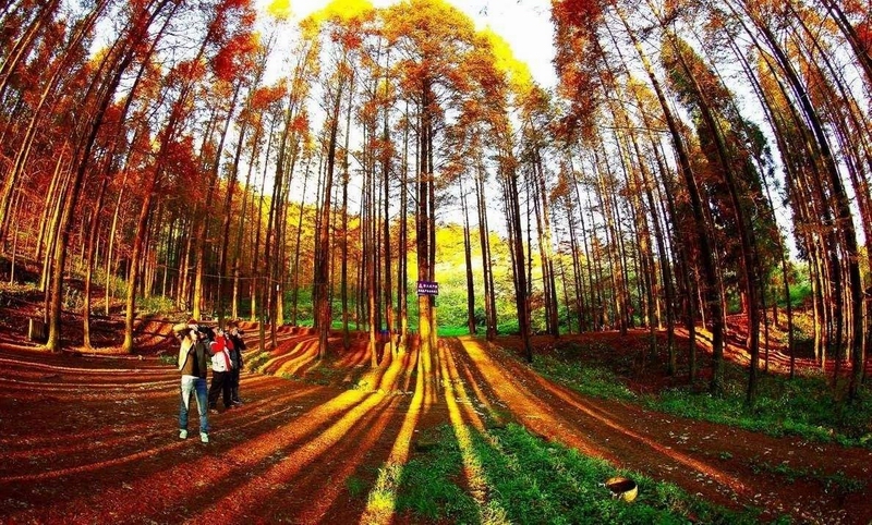 周边景点